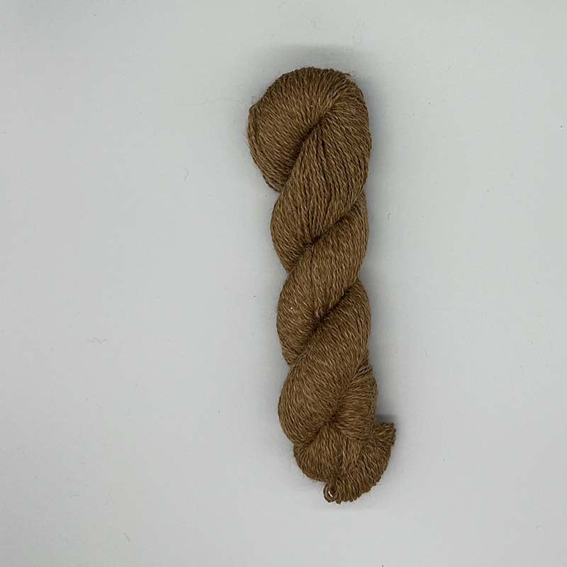 AS015-brun-2.jpg